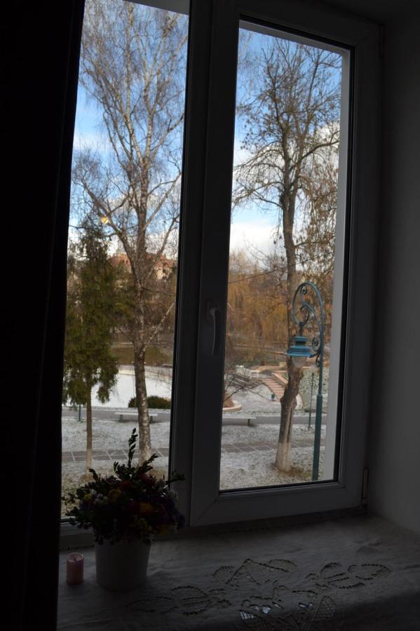Apartmán Квартира Двохкімнатна Фонтан Kamenec Podolský Exteriér fotografie